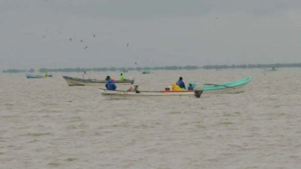 Redes de arrastre acaban con la pesca, la flora y los sistemas lagunarios 